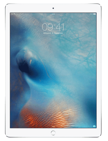 iPad 2017 32 GB Argento Wi-Fi + Cell grade B