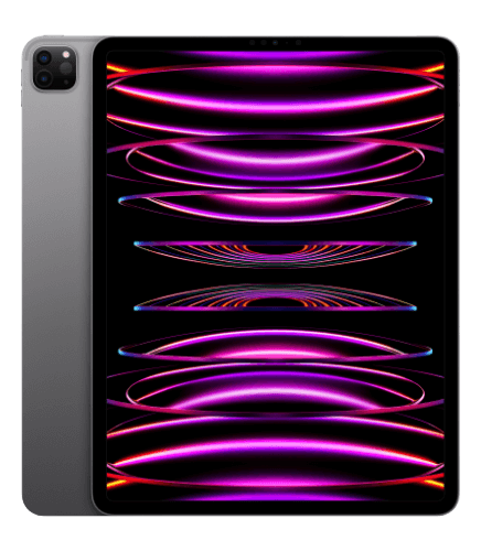 Apple iPad Pro 12.9 6 Gen Argento Ricondizionato